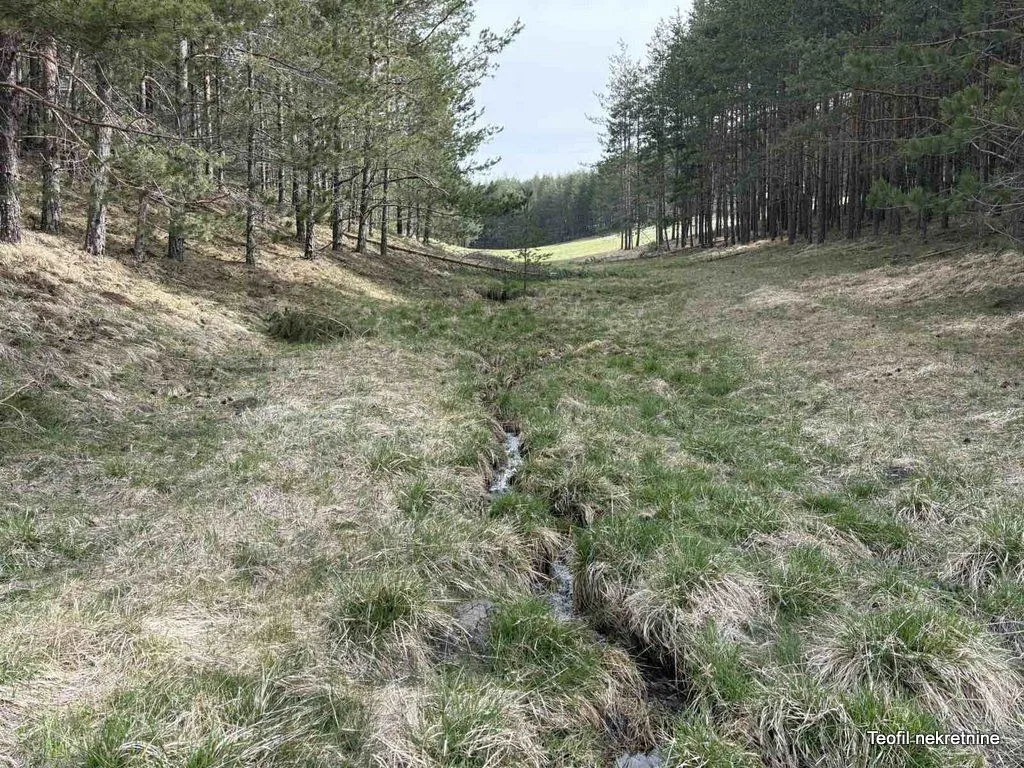 Prodaja, plac, 6600m², Zlatibor, Srbija