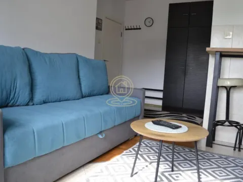 Rent, one bedroom apartment, 38m², Grbavica, Novi Sad Sve Podlokacije - image 4