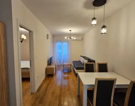 Izdavanje, jednosoban stan, 40m², Central Point, Podgorica - image 6