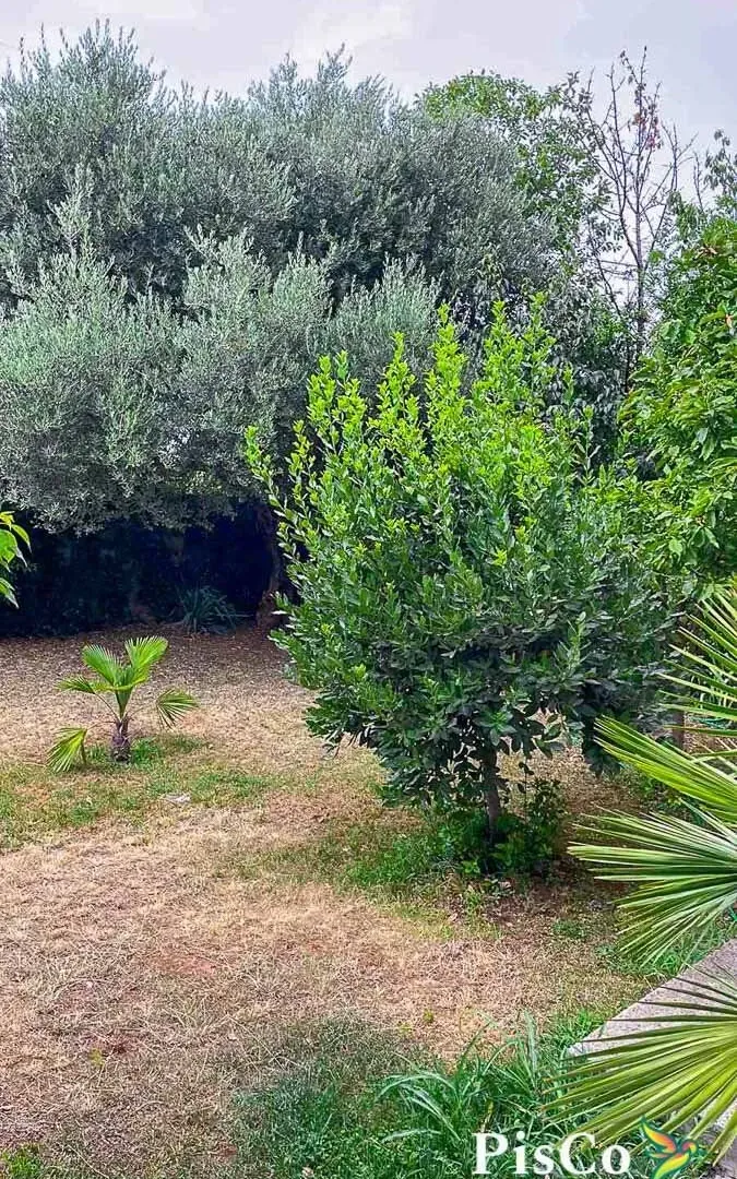 Prodaja, kuća, 320m², Zagorič, Podgorica