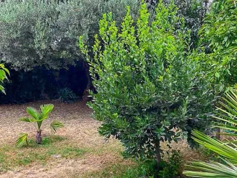 Sale, house, 320m², Zagorič, Podgorica - image 2