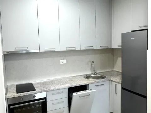 Izdavanje, stan, 49m², Central Point, Podgorica - image 4