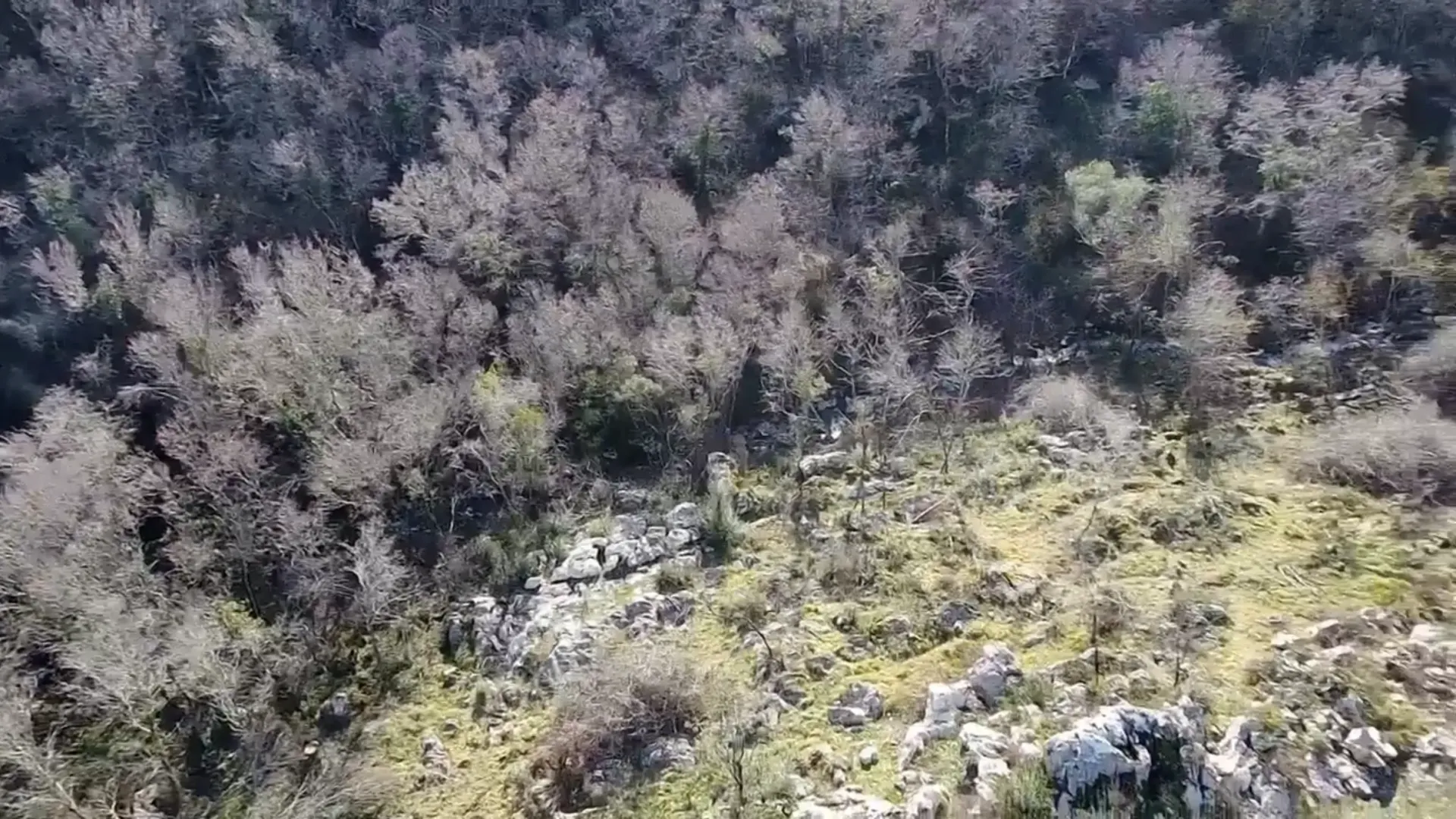 Prodaja, plac, 4860m², Podi, Herceg Novi