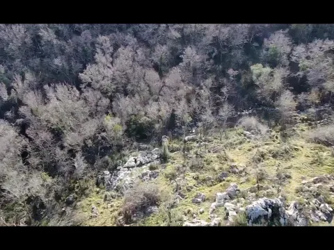 Prodaja, plac, 4860m², Podi, Herceg Novi - image 3