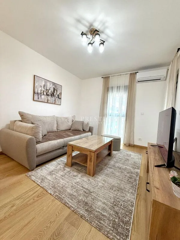 Living room with sofa, coffee table, rug and TV.