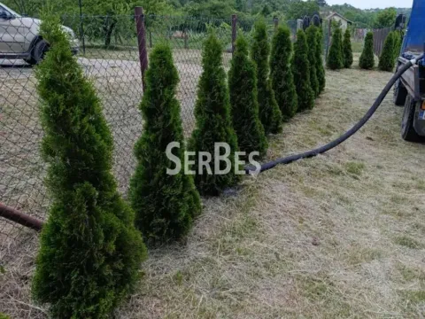 Sale, house, 129m², Čortanovci, Inđija - image 17