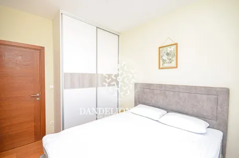 Rent, one bedroom apartment, 59m², Central Point, Podgorica - image 317