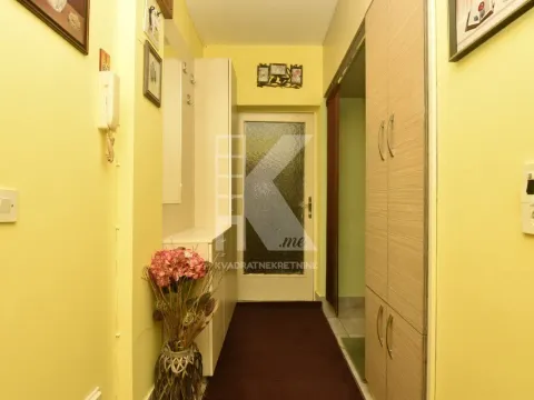 Izdavanje, garsonjera, 30m², Lepa Kata, Podgorica - image 9