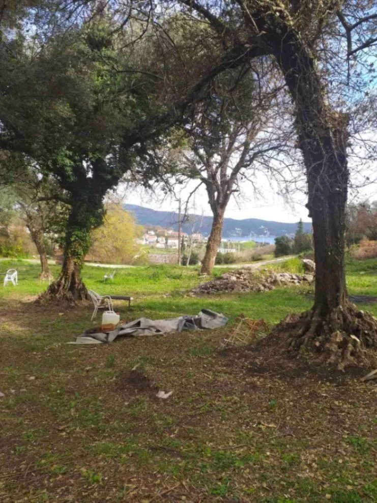 Prodaja, plac, 7000m², Herceg Novi, Crna Gora