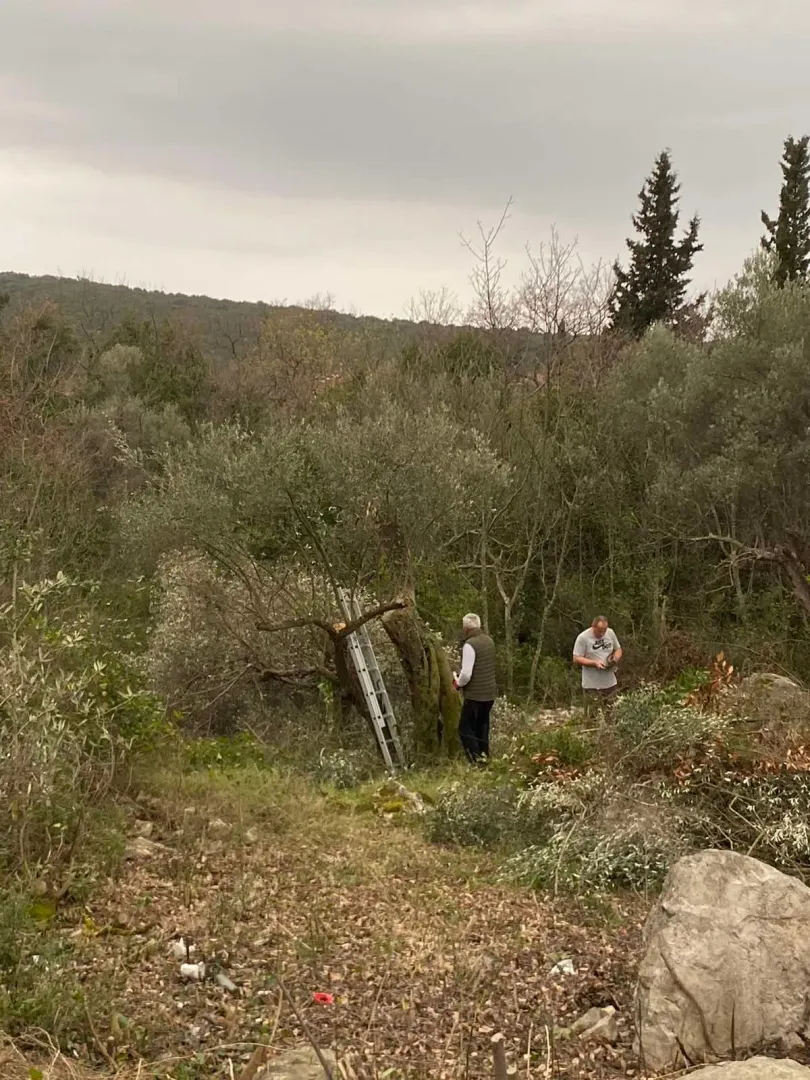 Prodaja, plac, 707m², Luštica, Herceg Novi