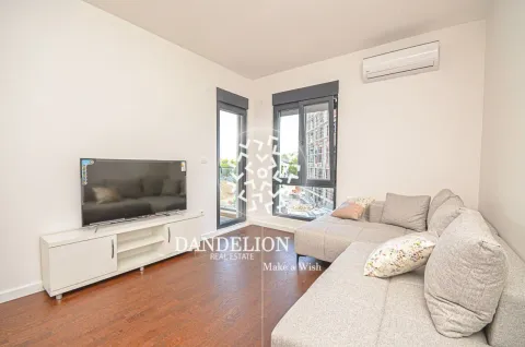 Rent, one bedroom apartment, 59m², Central Point, Podgorica - image 1043
