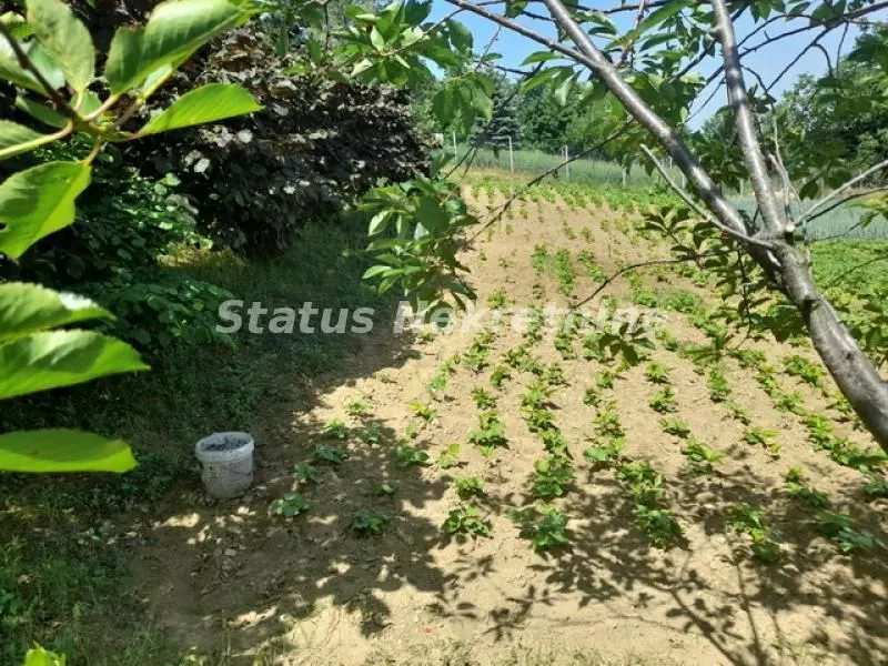 Sale, house, 30m², Beočin, Srbija