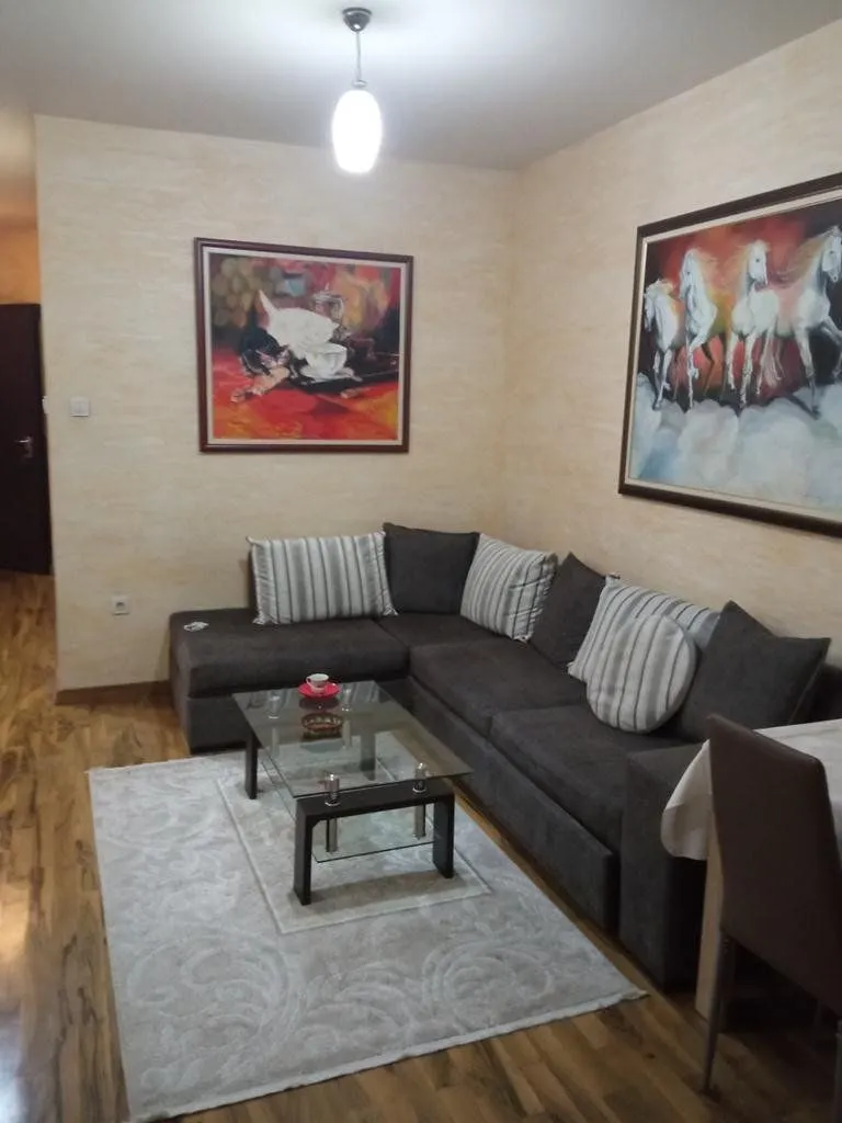 Izdavanje, jednosoban stan, 55m², Preko Morače, Podgorica