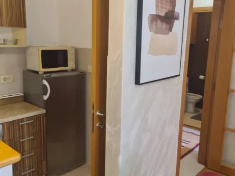 Rent, one bedroom apartment, 46m², Autobuska stanica, Podgorica - image 2