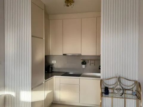 Izdavanje, jednosoban stan, 47m², Pod Goricom, Podgorica - image 12