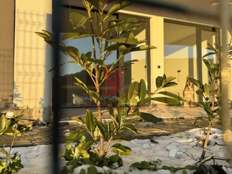 Daily-rent, one bedroom apartment, 38m², Kosmaj, Sopot - image 2