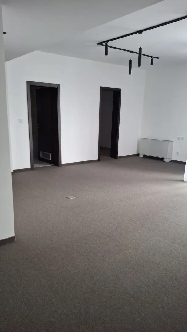 An empty, unfurnished room with gray carpet and white walls.