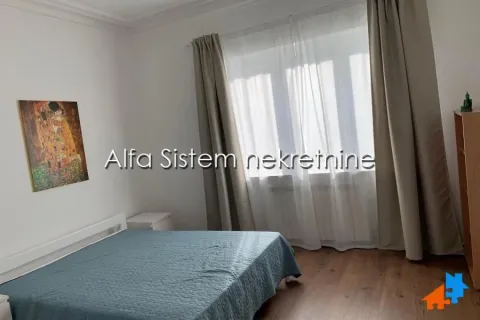 Izdavanje, dvosoban stan, 56m², Vračar Centar, Vračar Sve Podlokacije - image 7
