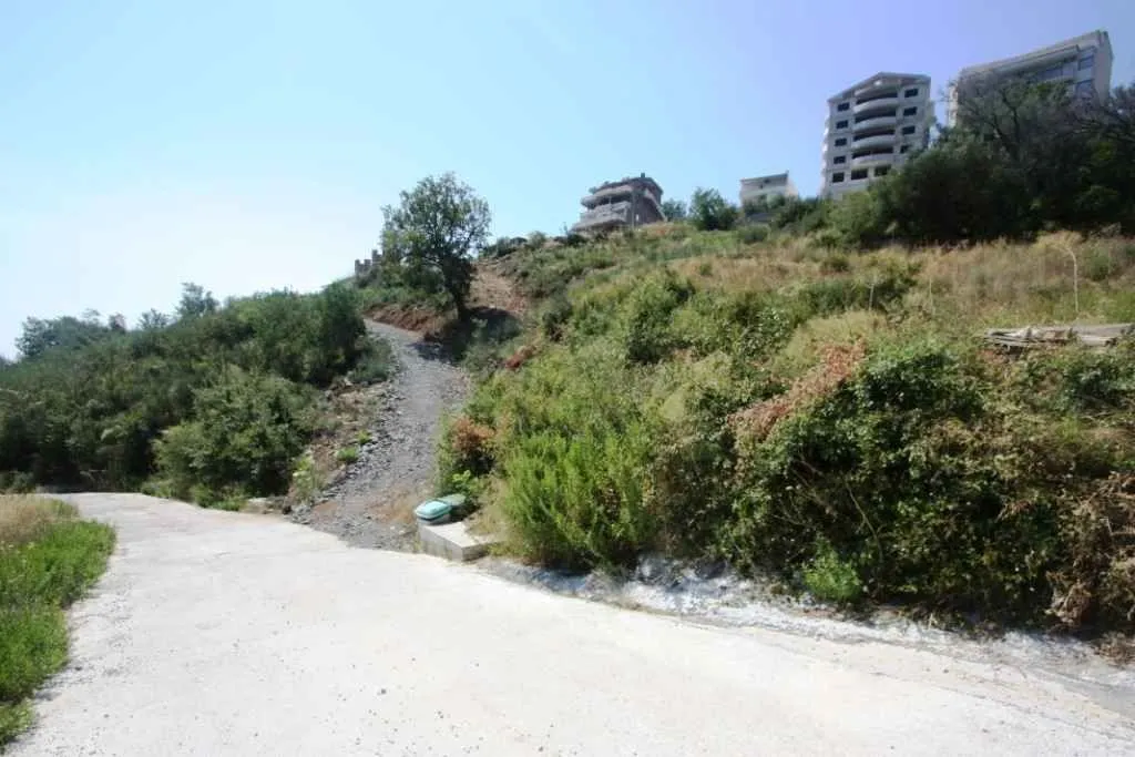 Prilazni put i plac sa rastinjem i pogledom na okolne objekte.