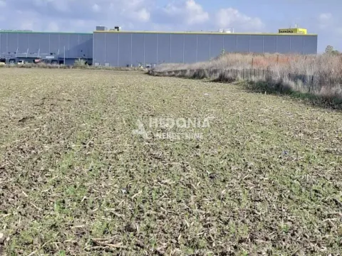 Sale, land lot, 3120m², Novi Beograd Sve Podlokacije, Beograd - image 2