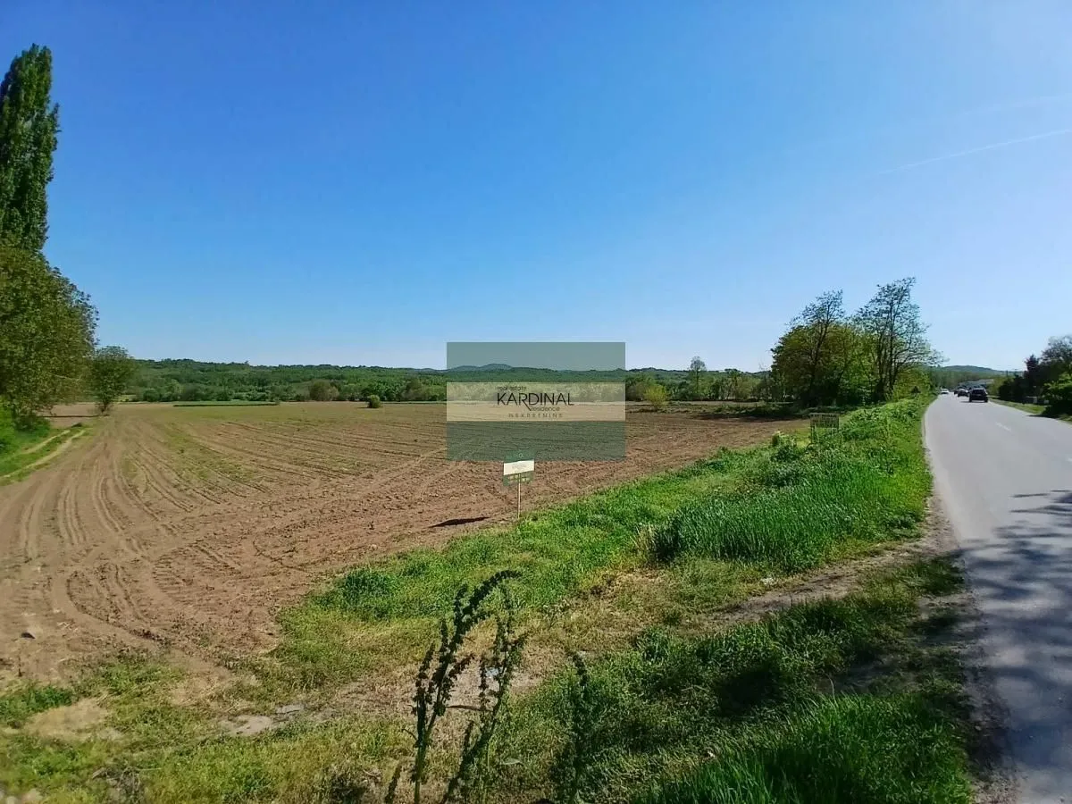 Prodaja, plac, 16009m², Dragocvet, Jagodina