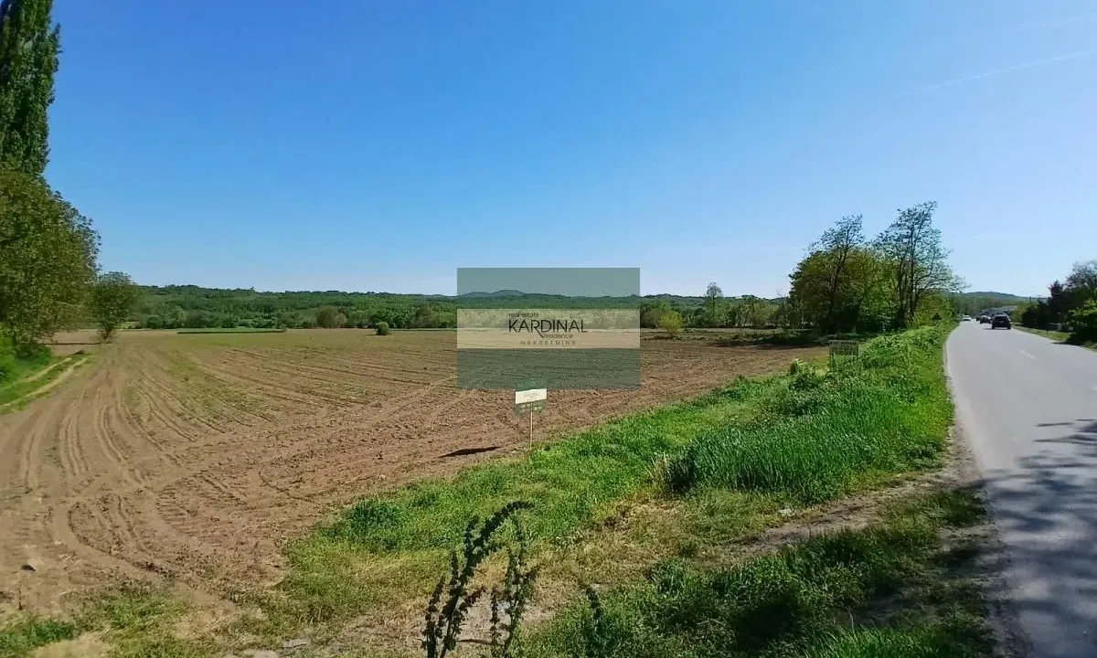 Sale, land lot, 16009m², Dragocvet, Jagodina