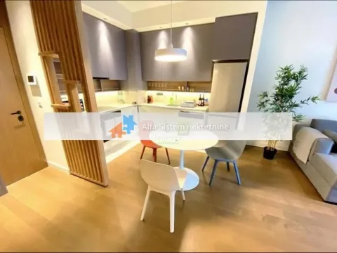 Izdavanje, dvosoban stan, 71m², Savski Venac, Beograd - image 7