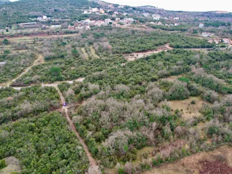 Prodaja, plac, 4530m², Zagora, Kotor - image 1