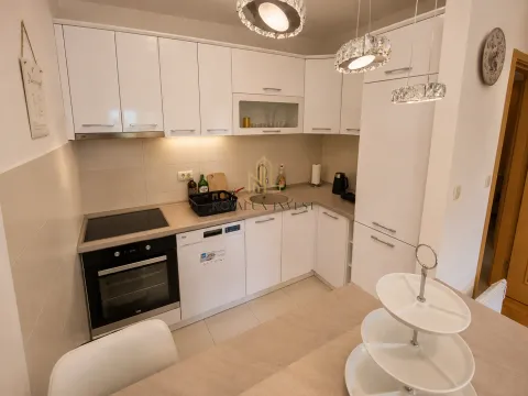 Izdavanje, jednosoban stan, 44m², Stari Aerodrom, Podgorica - image 4