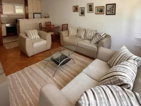 Izdavanje, jednosoban stan, 52m², Centar, Podgorica