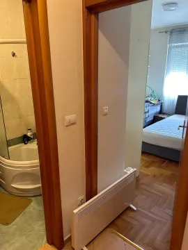Izdavanje, jednosoban stan, 45m², Stari Aerodrom, Podgorica - image 4