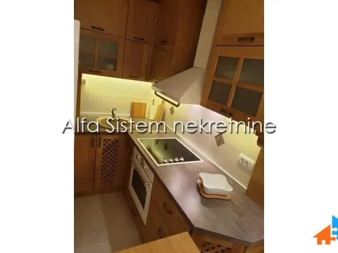 Izdavanje, dvosoban stan, 55m², Vračar Hram, Vračar Sve Podlokacije - image 12