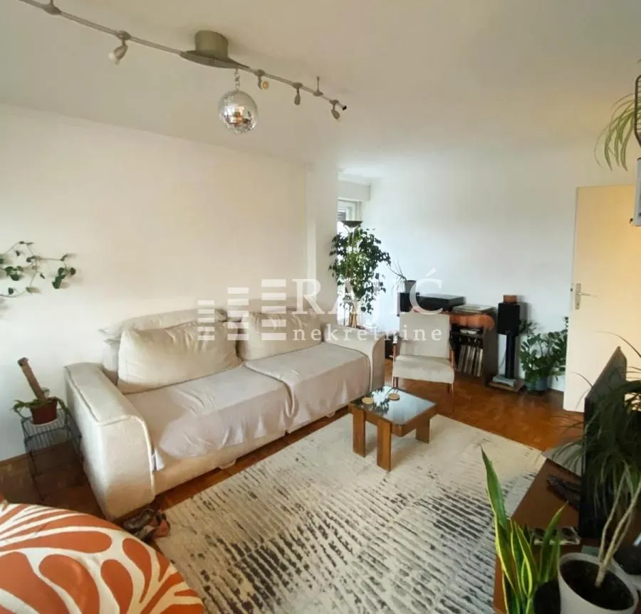 Living room with a sofa, rug, and plant details.