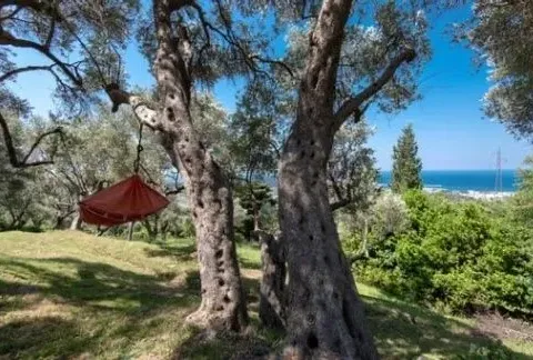 Rent, house, 270m², Velembusi, Bar - image 4