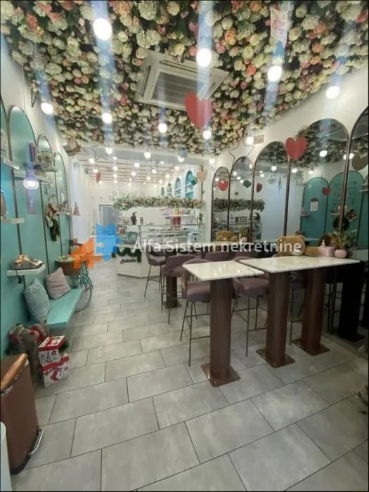 Izdavanje, poslovni prostor, 106m², Vračar Sve Podlokacije, Beograd