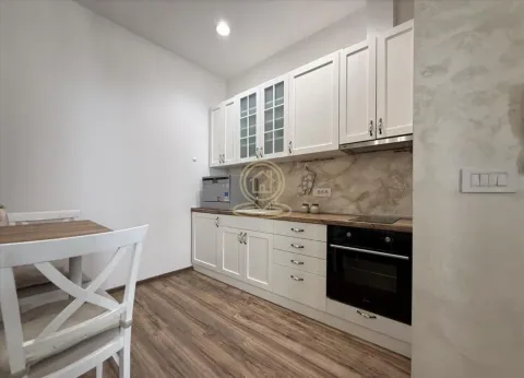 Rent, two bedroom apartment, 57m², Lion, Zvezdara Sve Podlokacije - image 5