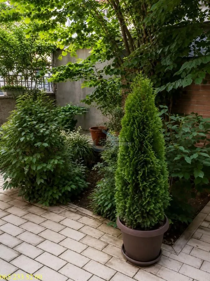 Prodaja, dvosoban stan, 78m², Tašmajdan, Palilula Sve Podlokacije