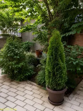 Prodaja, dvosoban stan, 78m², Tašmajdan, Palilula Sve Podlokacije - image 15