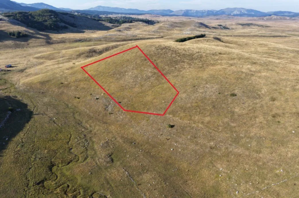 Prodaja, plac, 28933m², Gornja Bukovica, Šavnik