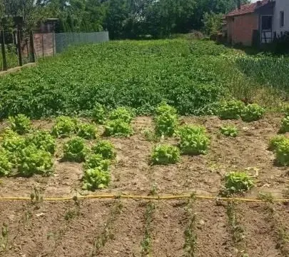 Sale, land lot, 1100m², Rakitovo, Jagodina - image 2