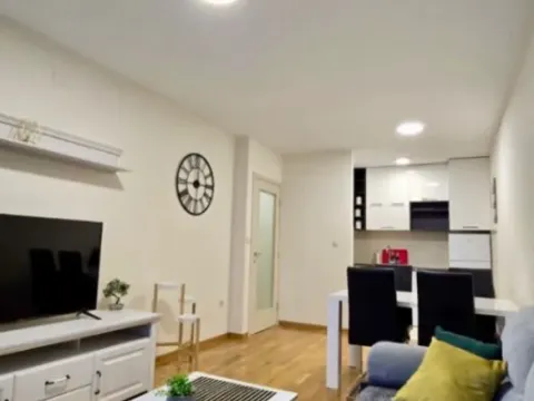 Izdavanje, jednosoban stan, 45m², Zagorič, Podgorica - image 9