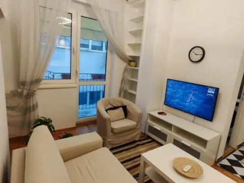 Izdavanje, dvosoban stan, 44m², Vračar Sve Podlokacije, Beograd - image 8