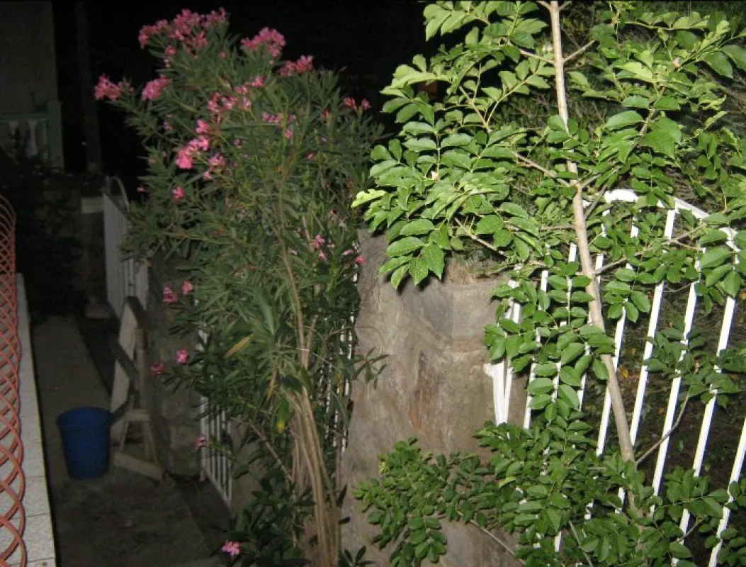 Prodaja, kuća, 200m², Sutomore, Bar