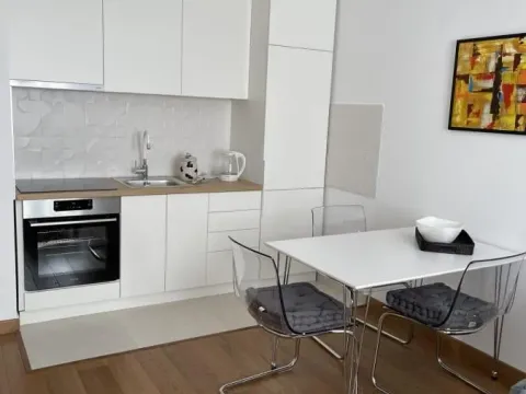 Izdavanje, jednosoban stan, 42m², Rotkvarija, Novi Sad Sve Podlokacije - image 5