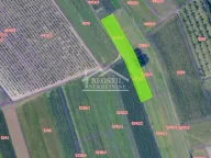 Prodaja, plac, Mladenovac, Beograd - image 3