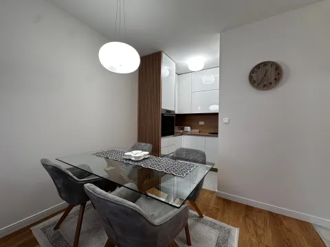 Izdavanje, jednosoban stan, 50m², Central Point, Podgorica - image 2