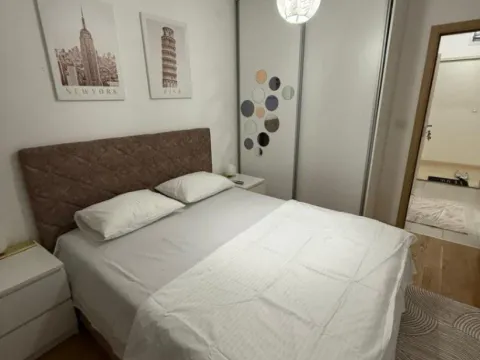 Izdavanje, jednosoban stan, 47m², Stari Aerodrom, Podgorica - image 13