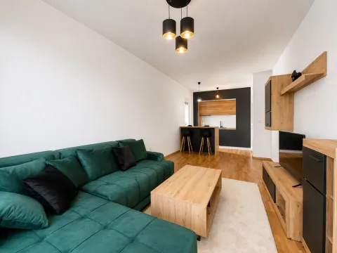 Rent, one bedroom apartment, 50m², Stari Aerodrom, Podgorica - image 2
