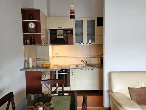 Izdavanje, jednosoban stan, 47m², Preko Morače, Podgorica - image 4