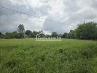 Sale, land lot, Dučina, Sopot - image 4